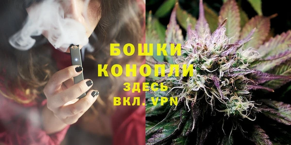 винт Коряжма