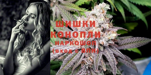 кокс Корсаков